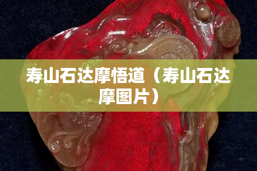 寿山石达摩悟道（寿山石达摩图片）