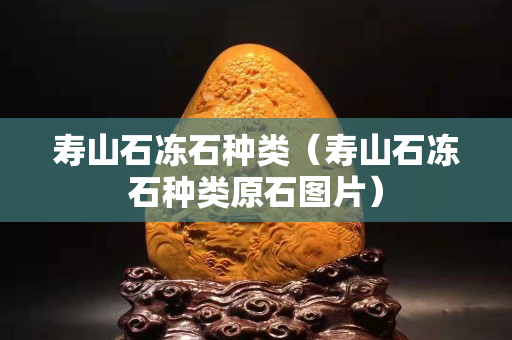寿山石冻石种类（寿山石冻石种类原石图片）