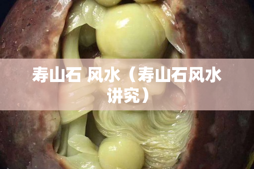 寿山石 风水（寿山石风水讲究）