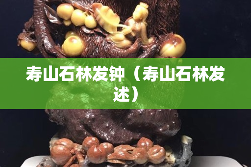 寿山石林发钟（寿山石林发述）