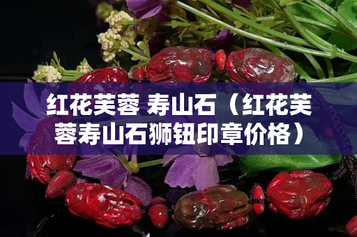 红花芙蓉 寿山石（红花芙蓉寿山石狮钮印章价格）