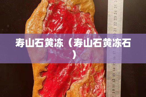 寿山石黄冻（寿山石黄冻石）