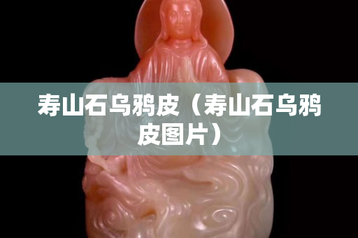 寿山石乌鸦皮（寿山石乌鸦皮图片）