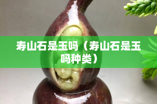 寿山石是玉吗（寿山石是玉吗种类）