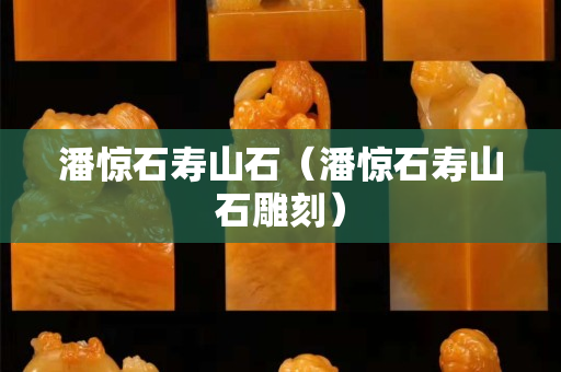 潘惊石寿山石（潘惊石寿山石雕刻）
