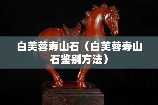 白芙蓉寿山石（白芙蓉寿山石鉴别方法）