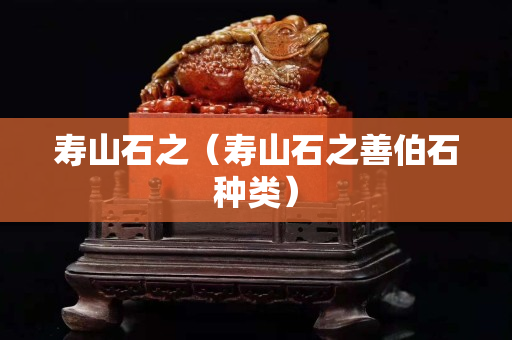 寿山石之（寿山石之善伯石种类）