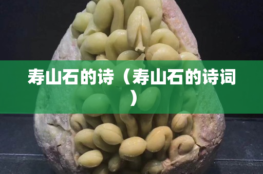寿山石的诗（寿山石的诗词）