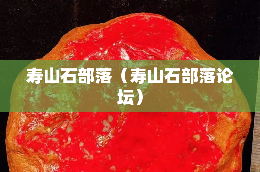 寿山石部落（寿山石部落论坛）
