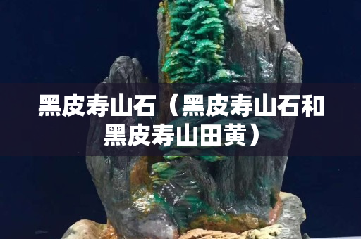 黑皮寿山石（黑皮寿山石和黑皮寿山田黄）