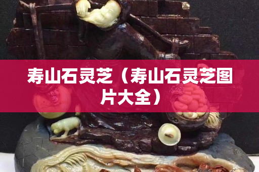 寿山石灵芝（寿山石灵芝图片大全）