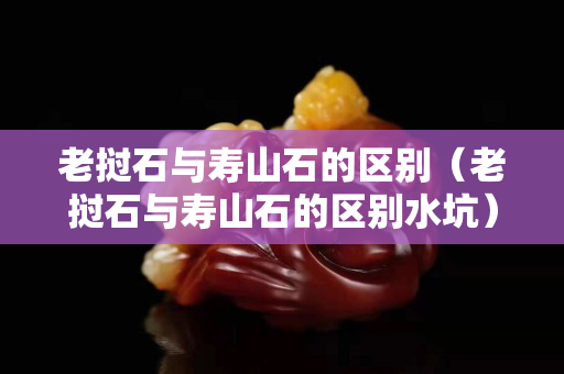 老挝石与寿山石的区别（老挝石与寿山石的区别水坑）