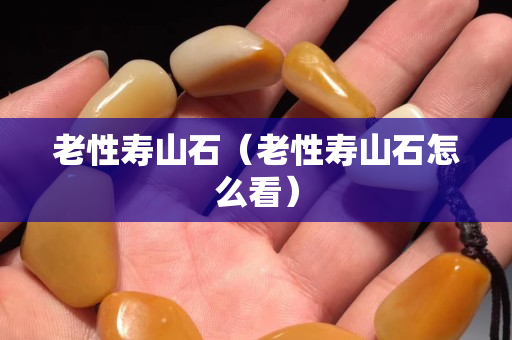 老性寿山石（老性寿山石怎么看）