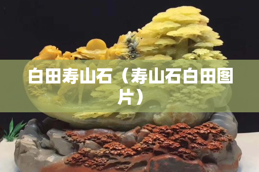 白田寿山石（寿山石白田图片）