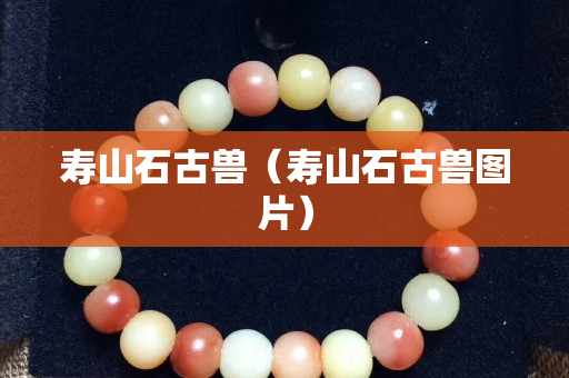 寿山石古兽（寿山石古兽图片）