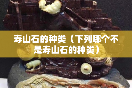寿山石的种类（下列哪个不是寿山石的种类）