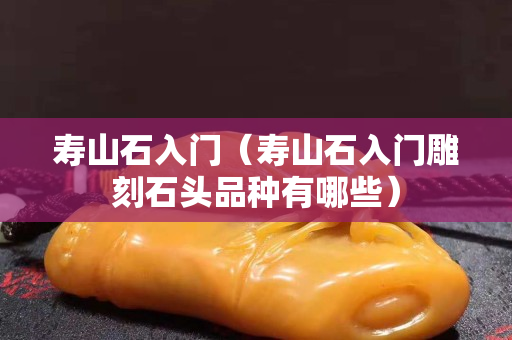 寿山石入门（寿山石入门雕刻石头品种有哪些）