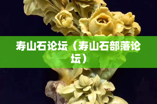 寿山石论坛（寿山石部落论坛）