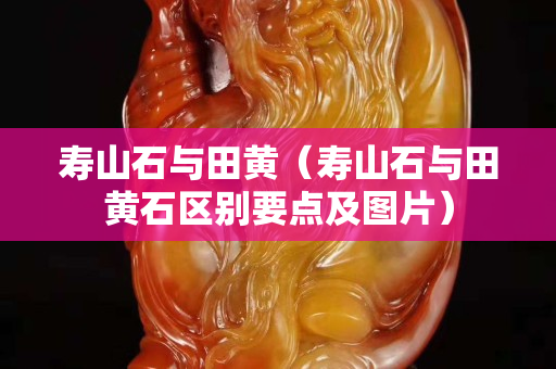 寿山石与田黄（寿山石与田黄石区别要点及图片）