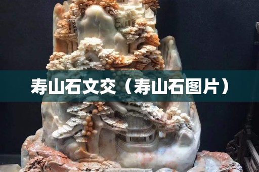 寿山石文交（寿山石图片）