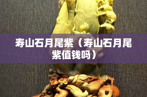 寿山石月尾紫（寿山石月尾紫值钱吗）