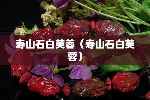 寿山石白芙蓉（寿山石白芙蓉）