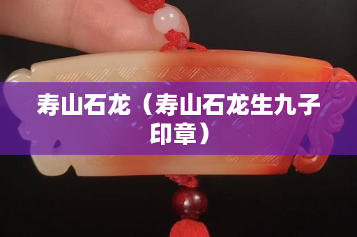 寿山石龙（寿山石龙生九子印章）