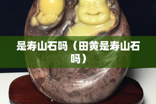 是寿山石吗（田黄是寿山石吗）