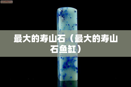最大的寿山石（最大的寿山石鱼缸）
