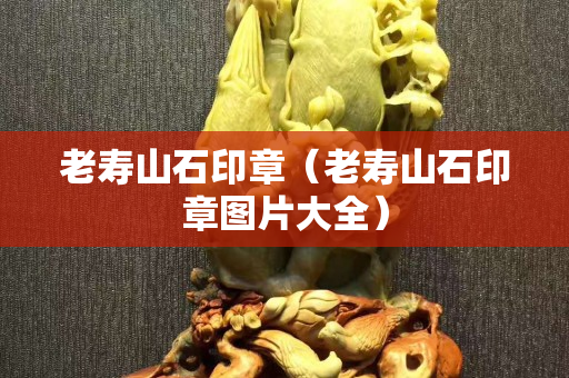 老寿山石印章（老寿山石印章图片大全）