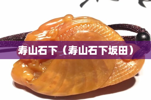 寿山石下（寿山石下坂田）