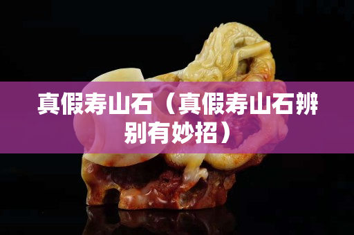 真假寿山石（真假寿山石辨别有妙招）