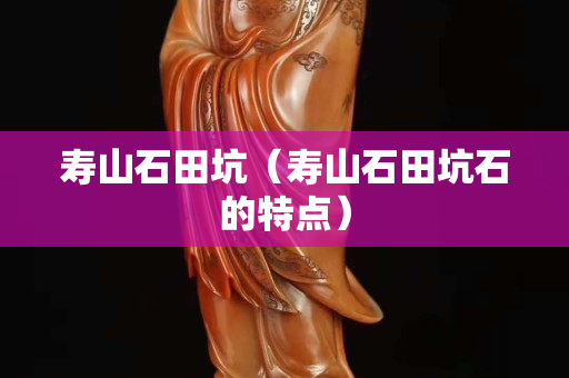 寿山石田坑（寿山石田坑石的特点）