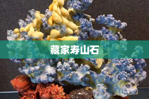 藏家寿山石