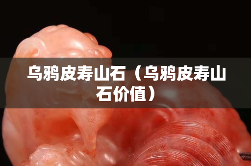 乌鸦皮寿山石（乌鸦皮寿山石价值）