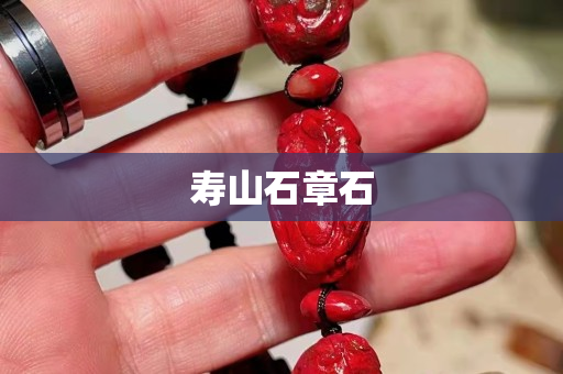 寿山石章石