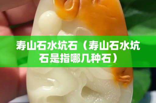 寿山石水坑石（寿山石水坑石是指哪几种石）