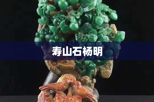 寿山石杨明