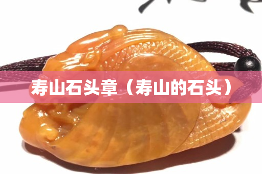 寿山石头章（寿山的石头）