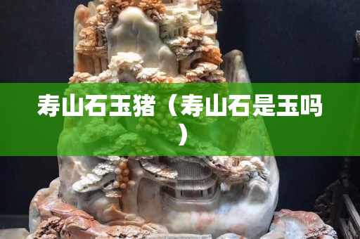 寿山石玉猪（寿山石是玉吗）