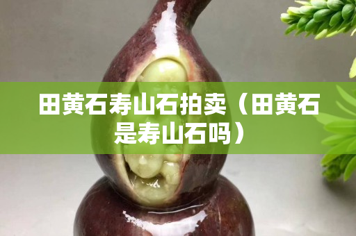 田黄石寿山石拍卖（田黄石是寿山石吗）