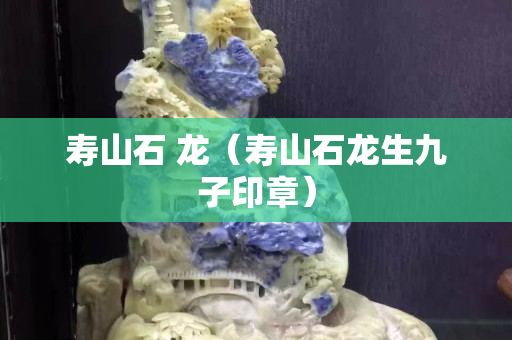 寿山石 龙（寿山石龙生九子印章）