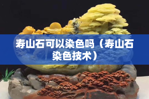 寿山石可以染色吗（寿山石染色技术）