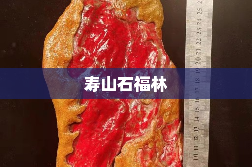 寿山石福林