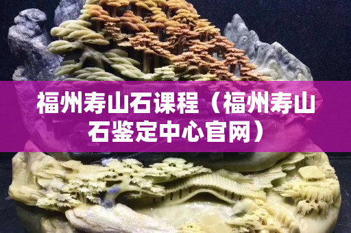 福州寿山石课程（福州寿山石鉴定中心官网）