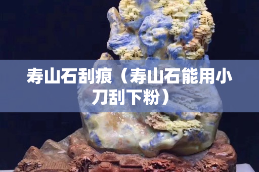寿山石刮痕（寿山石能用小刀刮下粉）