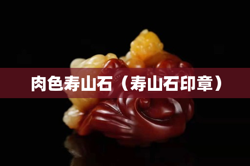 肉色寿山石（寿山石印章）