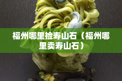 福州哪里捡寿山石（福州哪里卖寿山石）