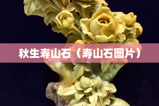 秋生寿山石（寿山石图片）