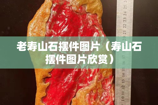 老寿山石摆件图片（寿山石摆件图片欣赏）